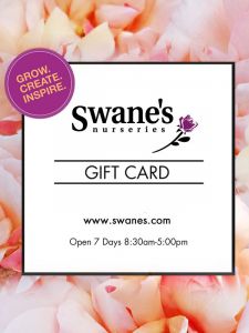 Swane's Digital Gift Card
