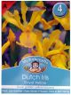 Bulbs - Dutch Iris Royal Yellow