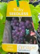 Vitis vinifera - Ruby Seedless Fruiting / Table Grape