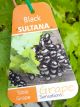 Vitis vinifera - Sultana Black Seedless Fruiting / Table Grape