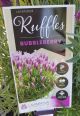 Lavender 'Bubbleberry Ruffles'