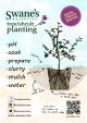 Tree & Shrub Planting Guide